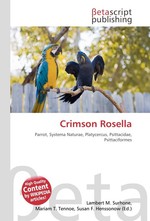 Crimson Rosella