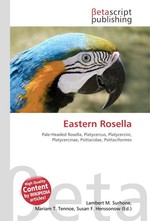 Eastern Rosella