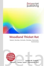 Woodland Thicket Rat