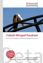 Cobalt-Winged Parakeet