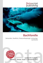 Bachforelle