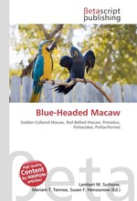 Blue-Headed Macaw