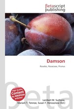 Damson