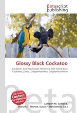 Glossy Black Cockatoo