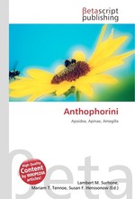 Anthophorini