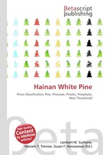 Hainan White Pine