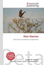 Hen Harrier