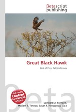 Great Black Hawk