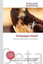 Gal?pagos Hawk