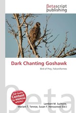 Dark Chanting Goshawk