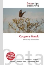 Coopers Hawk