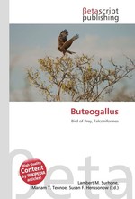 Buteogallus