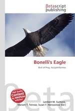 Bonellis Eagle