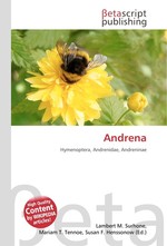 Andrena