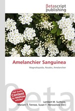 Amelanchier Sanguinea