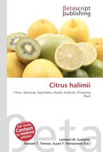 Citrus halimii