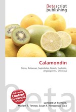 Calamondin