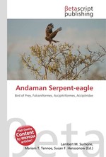 Andaman Serpent-eagle