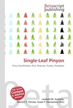 Single-Leaf Pinyon