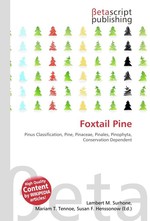 Foxtail Pine