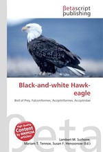 Black-and-white Hawk-eagle