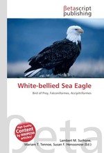 White-bellied Sea Eagle