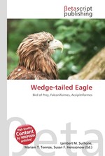 Wedge-tailed Eagle