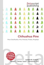 Chihuahua Pine