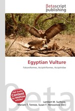 Egyptian Vulture