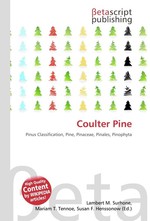 Coulter Pine