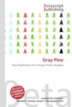 Gray Pine