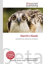 Harriss Hawk