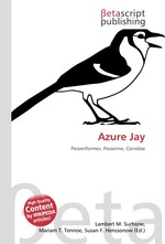 Azure Jay