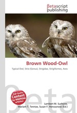 Brown Wood-Owl