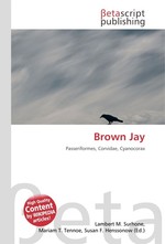 Brown Jay