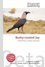 Bushy-crested Jay