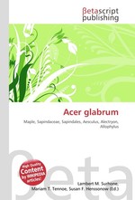 Acer glabrum