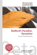 Bedfords Paradise-flycatcher