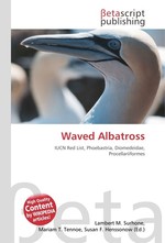 Waved Albatross