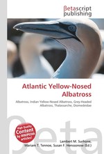 Atlantic Yellow-Nosed Albatross