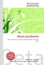 Alnus jorullensis