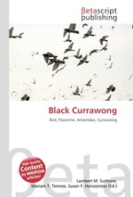 Black Currawong