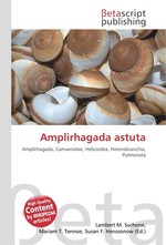 Amplirhagada astuta