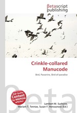 Crinkle-collared Manucode