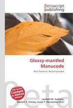 Glossy-mantled Manucode