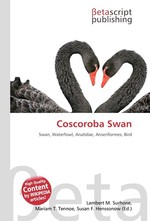 Coscoroba Swan