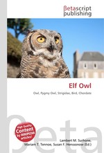 Elf Owl