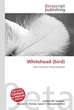 Whitehead (bird)