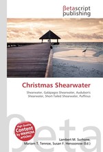 Christmas Shearwater