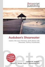 Audubons Shearwater